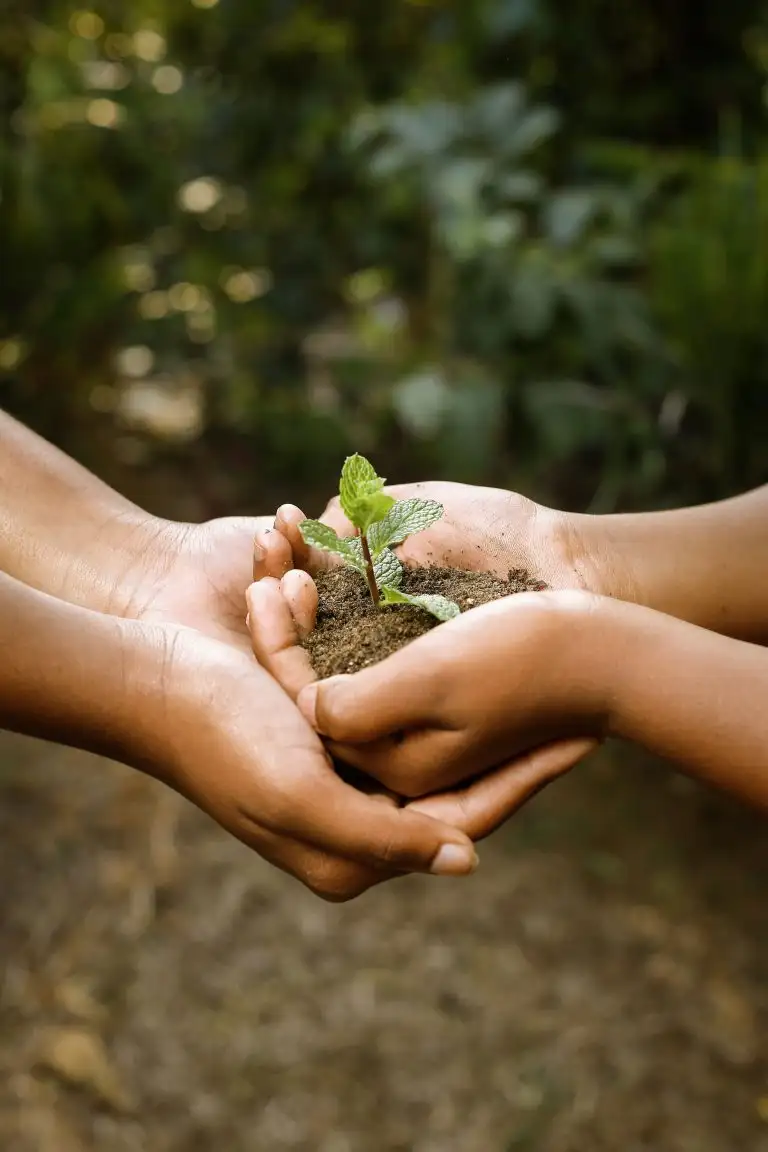 two-children-holding-together-young-small-plant-1-768x1152